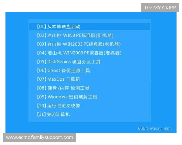 凯发网官网客户端下载指南及安装步骤详细介绍，帮助新手快速上手畅玩游戏